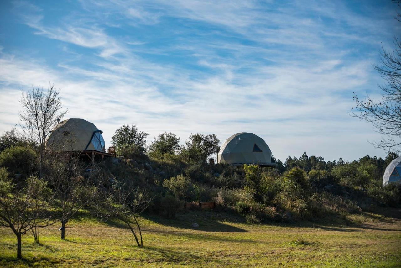 Glamping Tica Nativo
