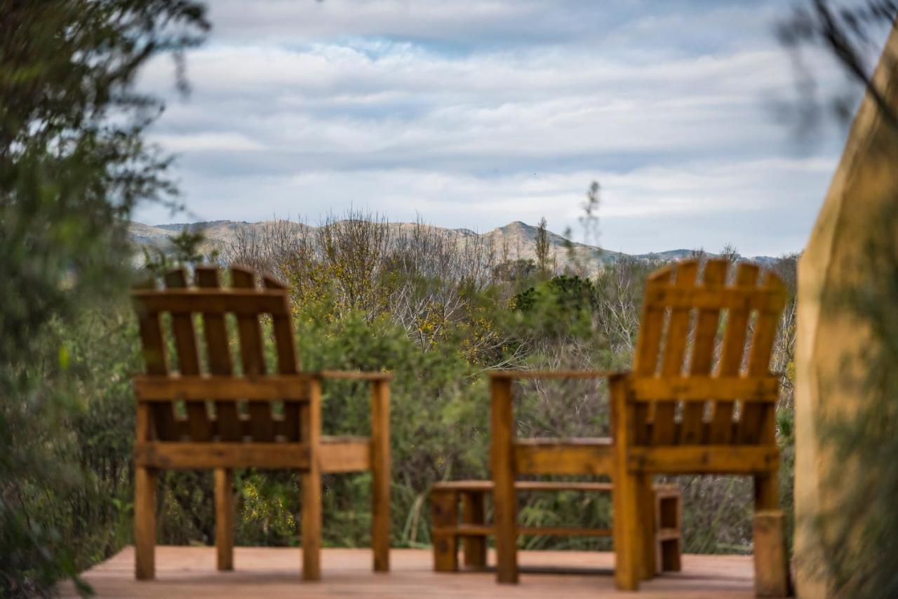 Glamping Tica Nativo Campo de lujo