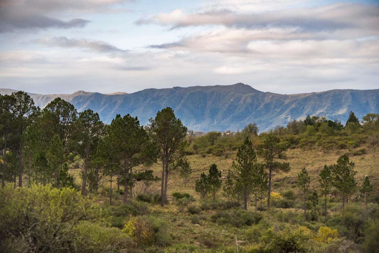 Campo de lujo Glamping Tica Nativo